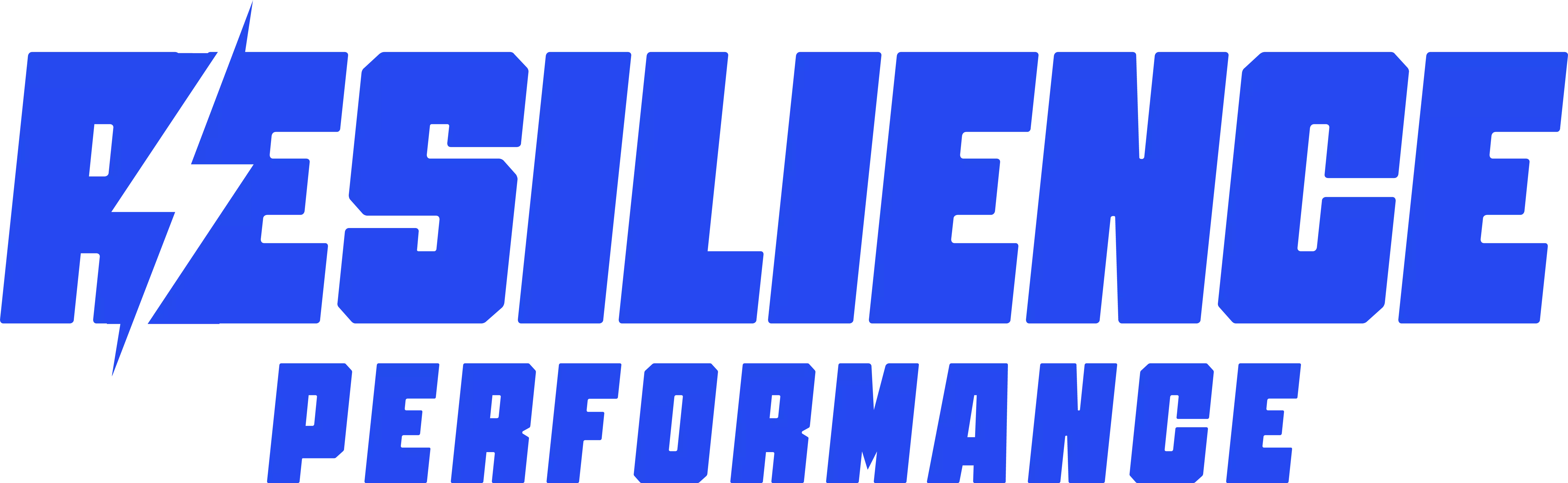 Resilience Performance | Programs